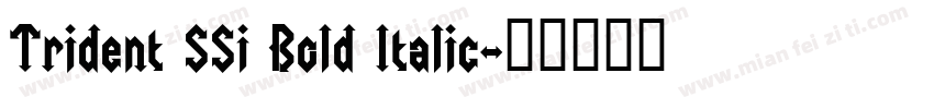 Trident SSi Bold Italic字体转换